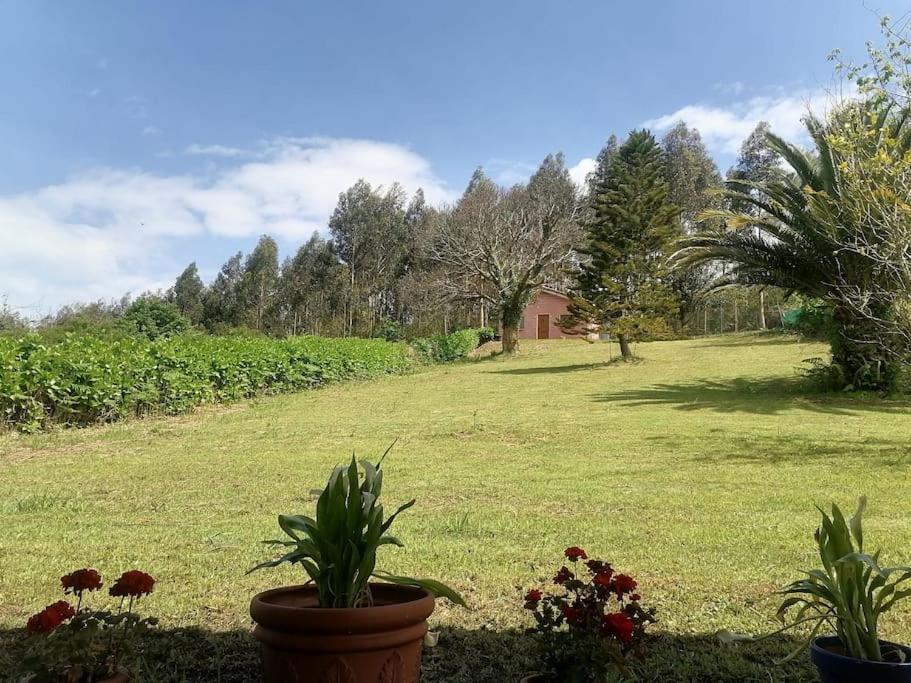 La Casa Azul De Lua Un Lugar Magico Villa Juncedo Eksteriør bilde