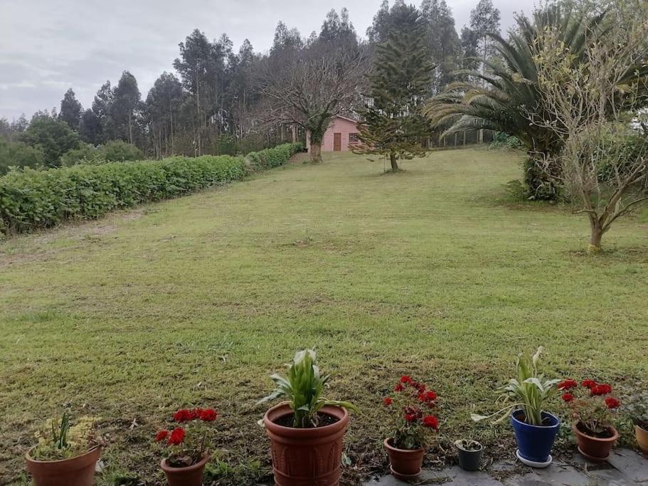 La Casa Azul De Lua Un Lugar Magico Villa Juncedo Eksteriør bilde