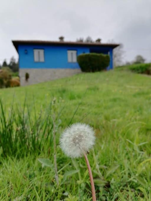 La Casa Azul De Lua Un Lugar Magico Villa Juncedo Eksteriør bilde